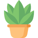 Gardening